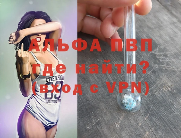 PSILOCYBIN Лихославль