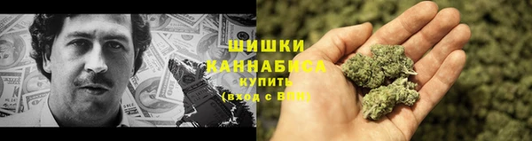 PSILOCYBIN Ладушкин