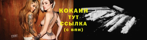 PSILOCYBIN Лихославль