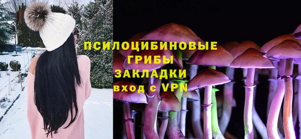 PSILOCYBIN Лихославль
