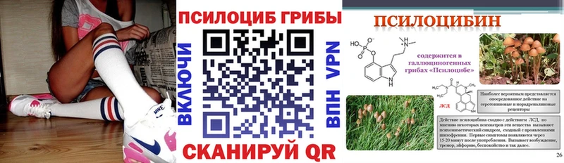 Псилоцибиновые грибы GOLDEN TEACHER закладка Называевск
